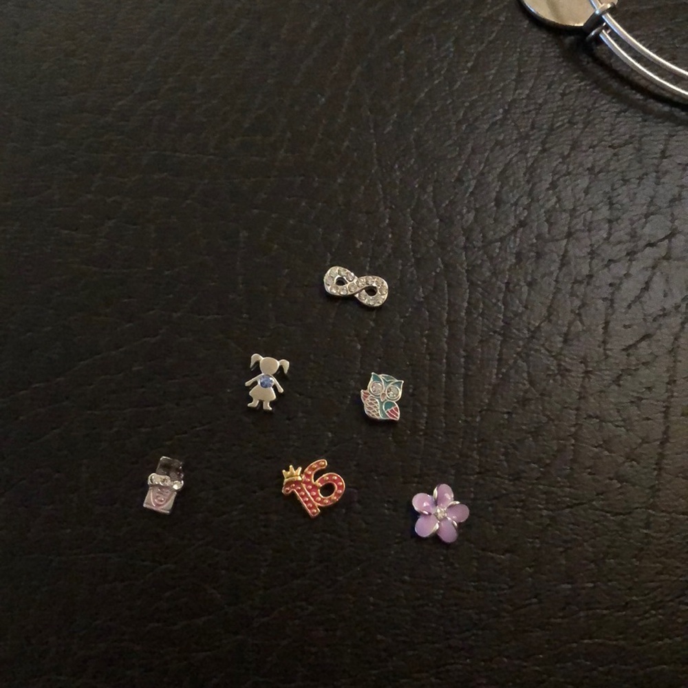 Origami owl charms